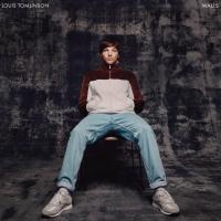 'Don’t Let it Break Your Heart' de Louis Tomlinson. Disco: Walls Don’t Let it Break Your Heart - Louis Tomlinson