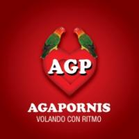 Canción 'Someone like you' del disco 'Volando con ritmo' interpretada por Agapornis Canción 'Someone like you' del disco 'Volando con ritmo' interpretada por Agapornis