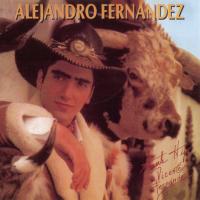 Te quedas o te vas Alejandro Fernández de Alejandro Fernández