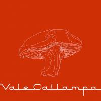 AMOR VIOLENTO, letra y canción de Café Tacuba. Disco: Vale Callampa - EP AMOR VIOLENTO letra CAFÉ TACUBA