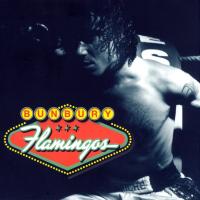 'Enganchado a ti' de Enrique Bunbury. Disco: Flamingos Enganchado a ti - Enrique Bunbury