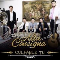 Los Ninis Culpable Tu de Alta Consigna