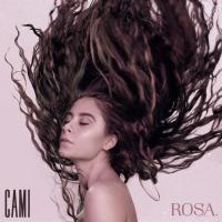 'Flashlight' de Cami. Disco: Rosa Flashlight - Cami