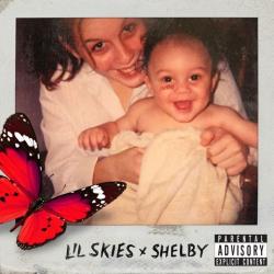 Through the Motions del álbum 'Shelby'