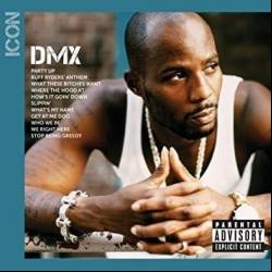 Icon: DMX