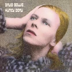 Hunky Dory