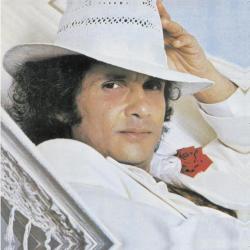 Ilegal, Inmoral O Engorda del álbum 'Roberto Carlos 1976'