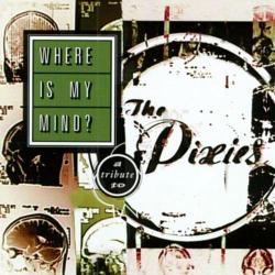 Where Is My Mind: A Tribute to the Pixies