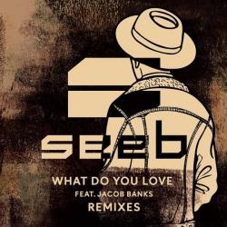 What Do You Love (Remixes) - EP