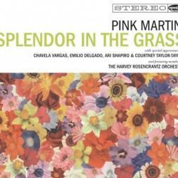 New Amsterdam del álbum 'Splendor in the Grass'