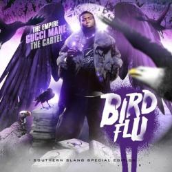 Bird Flu 