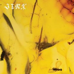 Fall Down del álbum 'Jinx'