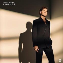 David Bisbal