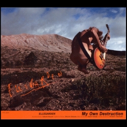 Can't Remember how We Used To Be del álbum 'My Own Destruction'