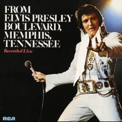 Hurt del álbum 'From Elvis Presley Boulevard, Memphis, Tennessee'
