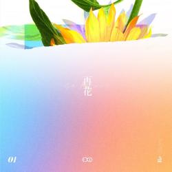 [Re:flower] PROJECT #1 - Single