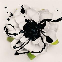 Erasing Everything del álbum 'White Lotus'