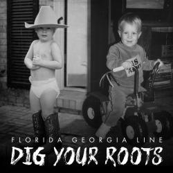 Wish You Were on It del álbum 'Dig Your Roots'