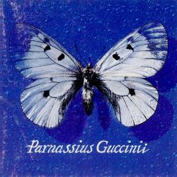 Parnassius Guccini