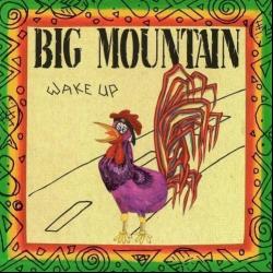 Rastaman de Big Mountain