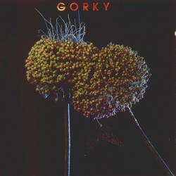 Lieve Kleine Piranha del álbum 'Gorky'
