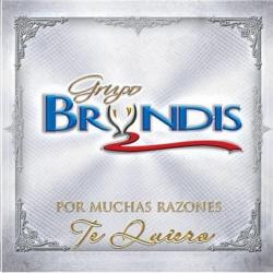 Por Muchas Razones Te Quiero de Grupo Bryndis