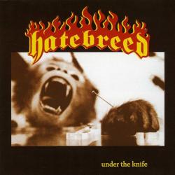 Under The Knife del álbum 'Under the Knife'