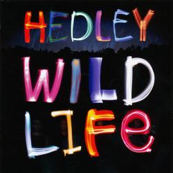 Anything del álbum 'Wild Life '