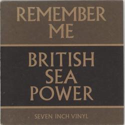 Remember Me de British Sea Power