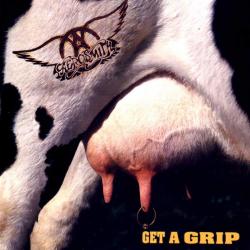 Line Up del álbum 'Get A Grip'