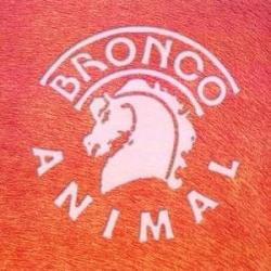 Bronco