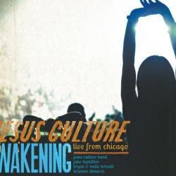 The anthem del álbum 'Awakening - Live from Chicago'