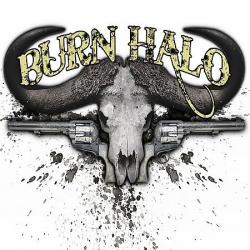 Too Late to Tell You Now del álbum 'Burn Halo'