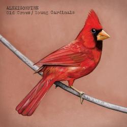 Born and Raised del álbum 'Old Crows / Young Cardinals'