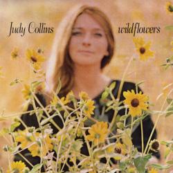Sky Fell del álbum 'Wildflowers'