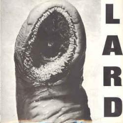The Power Of Lard del álbum 'The Power of Lard'