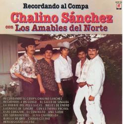 Caballos De Villa del álbum 'Con los Amables del Norte'