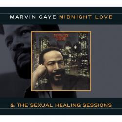 The Sexual Healing Sessions