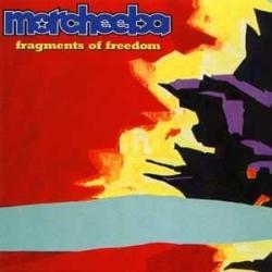 Shallow End del álbum 'Fragments Of Freedom'