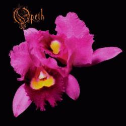 In The Mist She Was Standing del álbum 'Orchid'