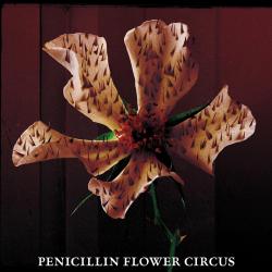 FLOWER CIRCUS