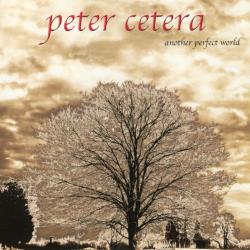 Pelfert World del álbum 'Another Perfect World'