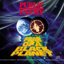 Reggie Jax del álbum 'Fear of a Black Planet'