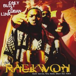 Can It All Be So Simple (remix) del álbum 'Only Built 4 Cuban Linx…'