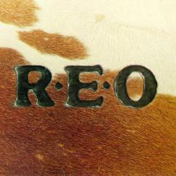 Any Kind Of Love del álbum 'R.E.O.'