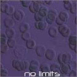 Friend del álbum 'No Limits'
