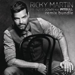 Mr. Put It Down (feat. Pitbull) [Remixes] - EP 