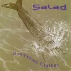 Diminished Clothes