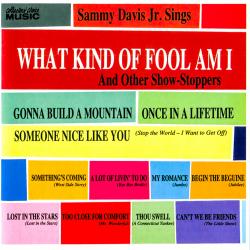 Once In A Lifetime del álbum 'What Kind of Fool Am I: And Other Show-Stoppers'