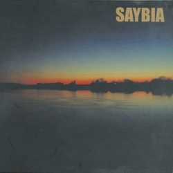 Dressed In Black del álbum 'Saybia'